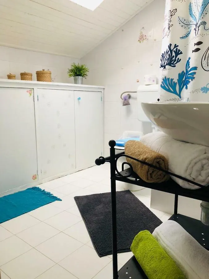Apartment Sosa Preko 0*,